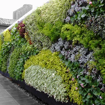 Moderno muro vegetal